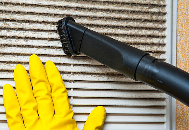 Best Air Duct Sanitizing Services  in Von Ormy, TX